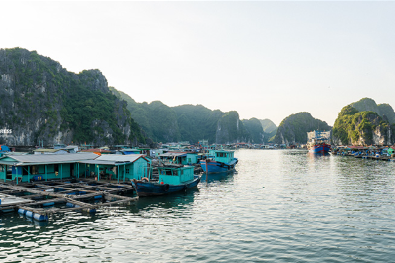 UNIQUE DAY TOUR HA NOI - CAT BA ISLAND – LAN HA BAY